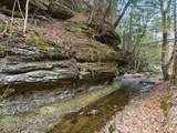 9385 Rich Hollow Road - Photo 114