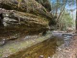 9385 Rich Hollow Road - Photo 115