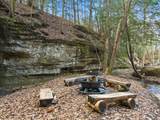 9385 Rich Hollow Road - Photo 117