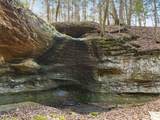 9385 Rich Hollow Road - Photo 118