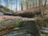 9385 Rich Hollow Road - Photo 120