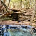9385 Rich Hollow Road - Photo 5