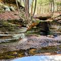 9385 Rich Hollow Road - Photo 84