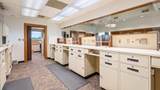2810 Maysville Pike - Photo 10