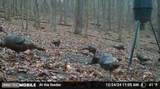 34278 Township Road 373 - Photo 9