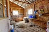 6949 Ramey Road - Photo 47