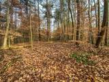 20088 Rauber Road - Photo 11