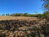 1764 Hallie Lane - Photo 3