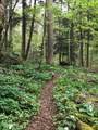 25779 Bailey Road - Photo 12