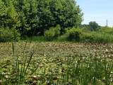 25779 Bailey Road - Photo 6