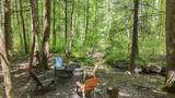 25873 Big Pine Road - Photo 54