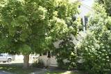 126 Grove Street - Photo 7