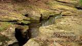 17260 Krinn Unger Keck Road - Photo 41