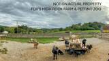 17260 Krinn Unger Keck Road - Photo 44