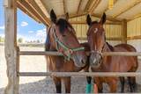 7233 National Road - Photo 9