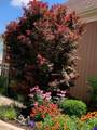5602-18 Eventing Way - Photo 57