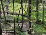 6439 Oharra Street - Photo 59