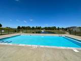 4261 Flamingo Drive - Photo 29