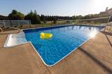 7247 Optimara Drive - Photo 4