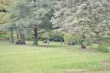 3261 River Road - Photo 10