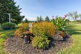5643 Yankee Street - Photo 75