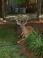 3724 Pleasantbrook Drive - Photo 24
