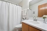 2316 Shelby Lane - Photo 28