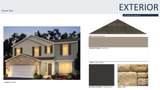 356-Lot 57 Rye Street - Photo 4