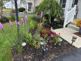 705 Nighthawk Drive - Photo 8