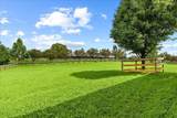 12515 Leeper-Perkins Road - Photo 94
