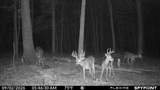 3333 Blacks Road - Photo 61