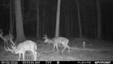 3333 Blacks Road - Photo 63