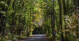 1621 Hogback Road - Photo 42