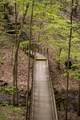 1621 Hogback Road - Photo 43