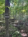 1621 Hogback Road - Photo 45