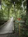 1621 Hogback Road - Photo 47