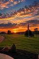 17672 Bear Swamp Road - Photo 43
