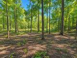 17672 Bear Swamp Road - Photo 45