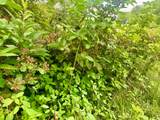 0 Indian Hills Road - Photo 16