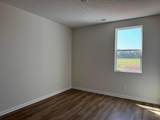5433-Lot 334 Morning Glory Street - Photo 13