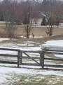3237 Blue Church Road - Photo 98