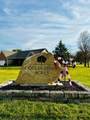 7835 Ohio State Lane - Photo 40