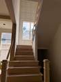 8280 Canopy Glen Drive - Photo 14