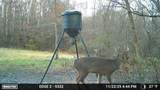 9141 Wesley Chapel Road - Photo 33
