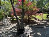 875 Broad Street - Photo 167