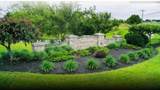 5523 Violet Street - Photo 2