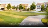 5523 Violet Street - Photo 42