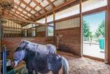4038 Burg Street - Photo 105