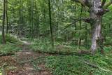 7207 Coonpath Road - Photo 102