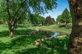 619 Dlyn Street - Photo 38